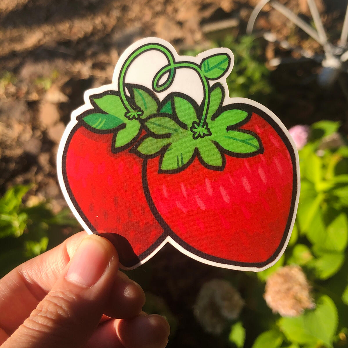 strawberry happy mail